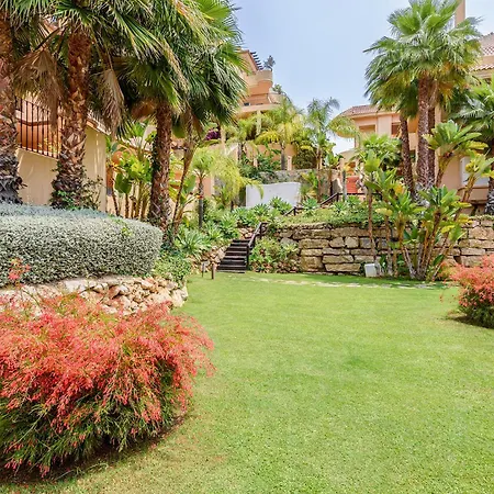 Alcam Aloha Deluxe 42